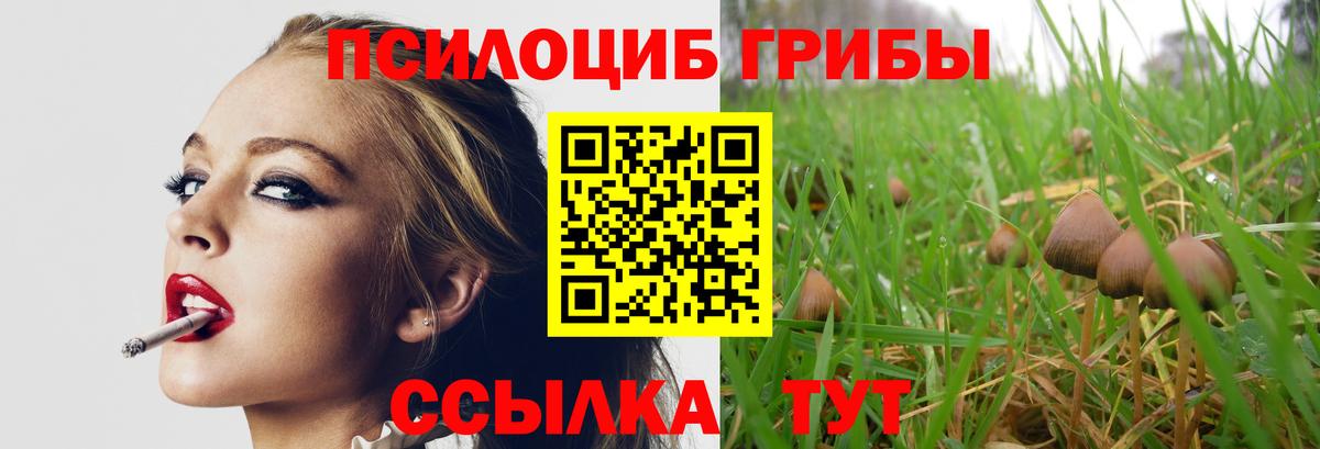 Галлюциногенные грибы Magic Shrooms  Галлюциногенные грибы GOLDEN TEACHER  Вход с VPN  Россия 
